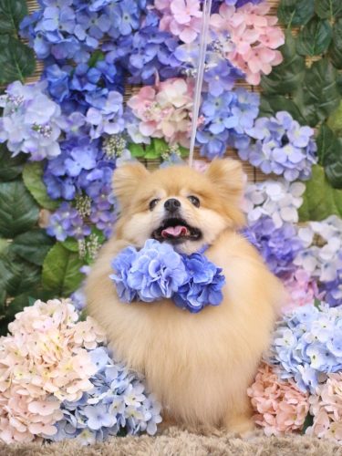 22050608梛都ちゃん